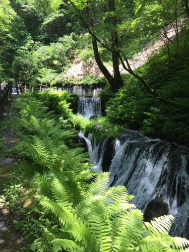 image206-500x375 軽井沢　白糸の滝