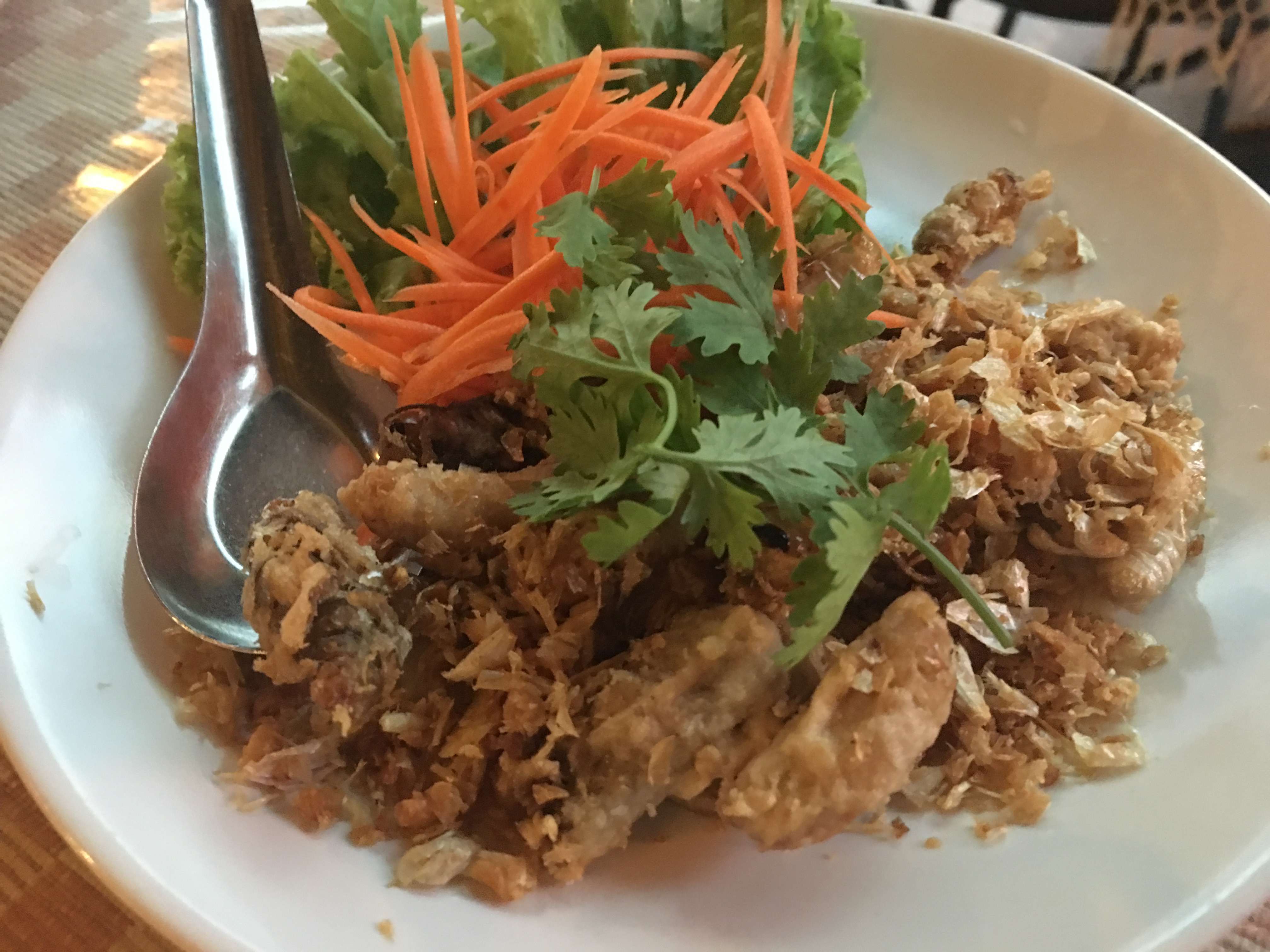 image-540 チェンマイ　ペット ドイ ンガームの北部タイ料理