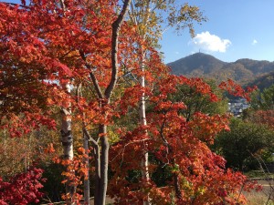 image111-300x166 札幌　旭山公園からの眺め